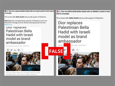 does dior support palestine or israel|Fact Check: Dior Did Not Replace Bella Hadid With an Israeli .